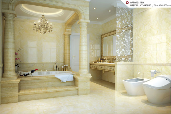 金艾陶首創微晶瓷片效果圖